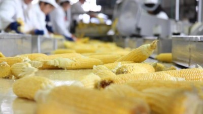 Viejo Prohibido y Morena Dulce: Sexo Tabú con Final Explosivo
