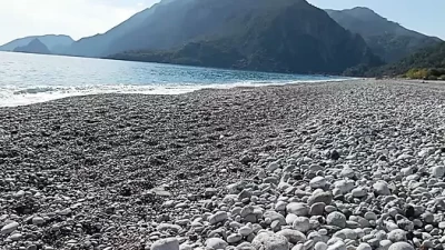 Beachside Risk: Public Blowjob Adventure with Cum Swallow