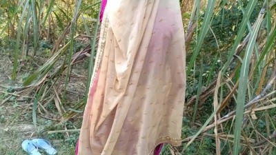 Reiko yamaguchi jav