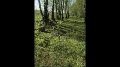 Stranger Pulled up his Dress and Fucked in the Woods (fast)