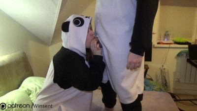 Two cute chubby pandas