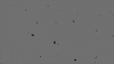 Barely-Legal Teen Sucks Off Her Therapist With Braces! (+18)